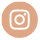0 LOGO Instagram Palacio.png